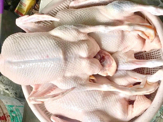 Thành phẩm máy vặt lông gà 68cm