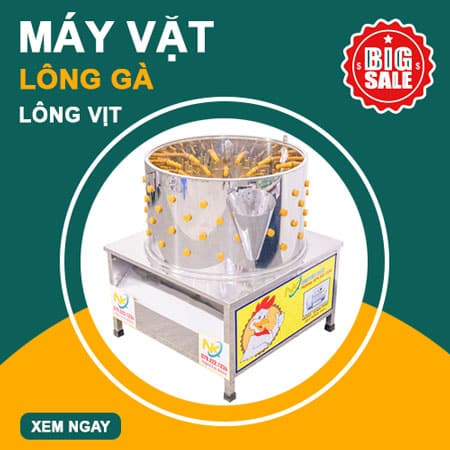 sale-may-vat-long-ga-long-vit