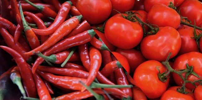 Nguyên liệu cà chua và ớt quả