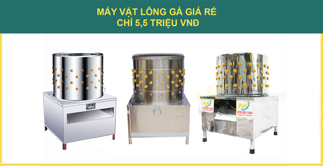 Tổng hợp các mẫu máy vặt lông gà giá rẻ dưới 5,5 triệu tốt nhất