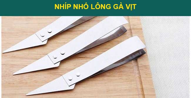 3 loại nhíp nhổ lông gà vịt phổ biến nhất 2023