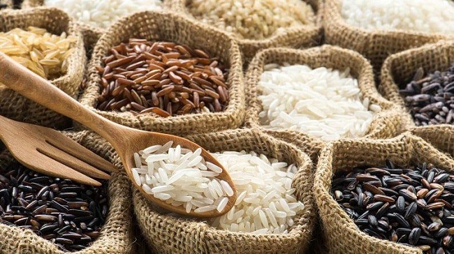 Loại gạo là yếu tố ảnh hưởng trực tiếp đến số lượng cơm thành phẩm
