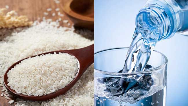 Nguyên liệu gạo và nước