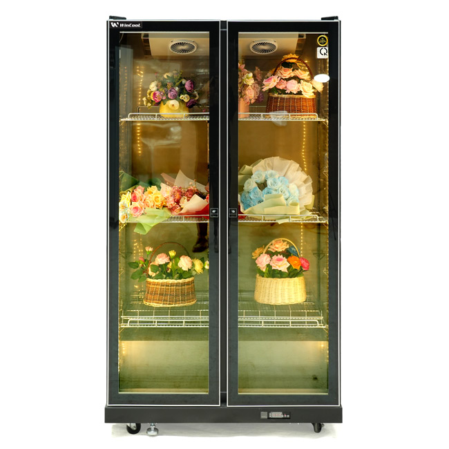 Tủ bảo quản hoa 2 cánh đen 1038l