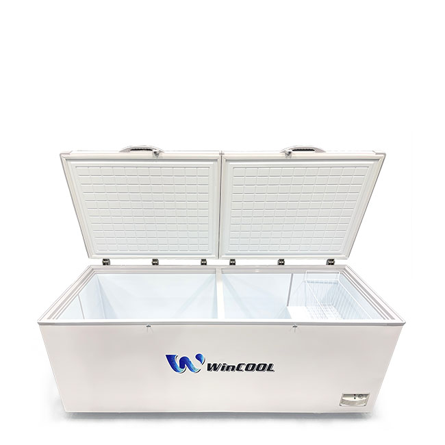 Tủ đông trắng 2 cánh 720l 1 chế độ dài 2m