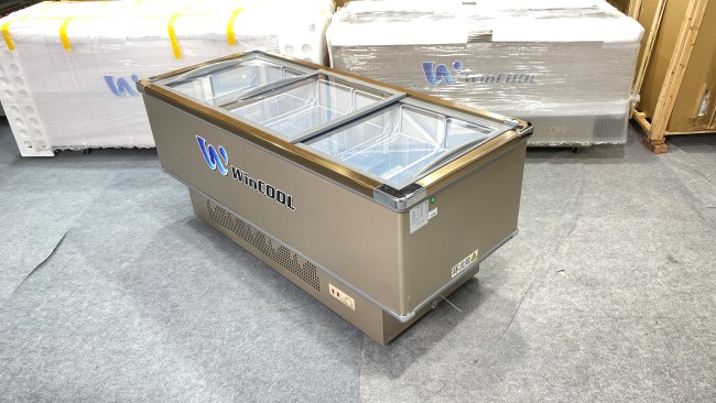 Tổng hợp mẫu tủ đông nằm bán chạy