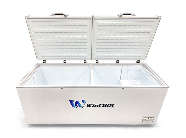 Tủ đông trắng 2 cánh 928L 