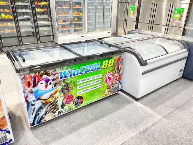 Tủ đông nằm WinCool