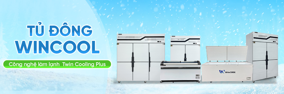 TOP 6+ Tủ đông đứng cho Bếp công nghiệp Chất lượng, Giá rẻ