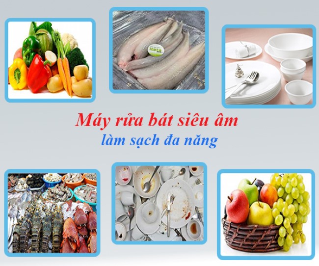 Đa dạng chức năng