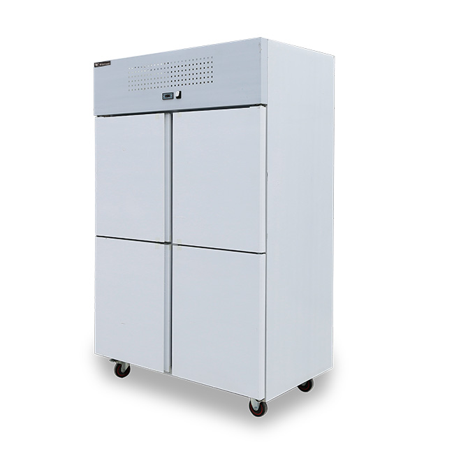 Tủ đông đứng 4 cánh 1000L làm lạnh trực tiếp