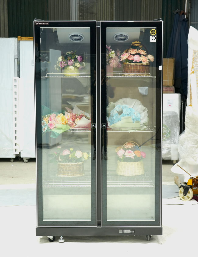 Hình ảnh sản phẩm thực tế