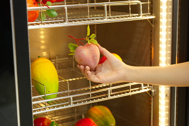 Lưu &yacute; khi d&ugrave;ng tủ m&aacute;t