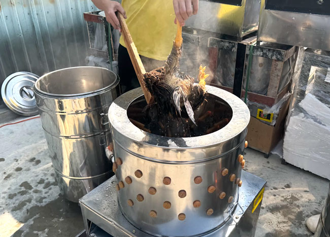 Sử dụng m&aacute;y vặt l&ocirc;ng g&agrave; dễ d&agrave;ng